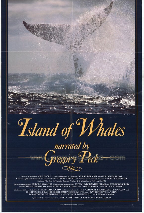 Остров китов (1990) постер