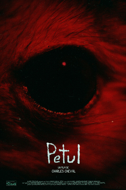 Petul (2017) постер