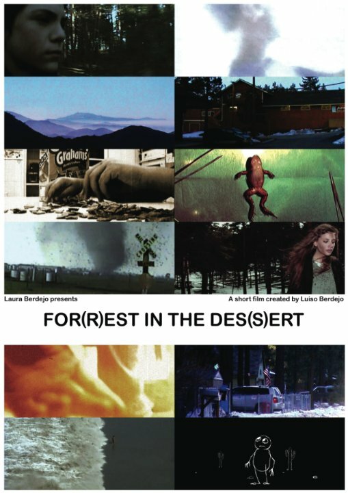 For(r)est in the Des(s)ert (2006) постер