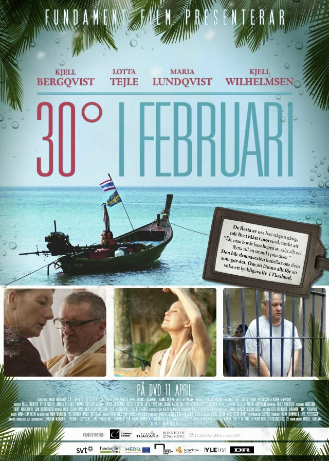 30 градусов в феврале (2012) постер